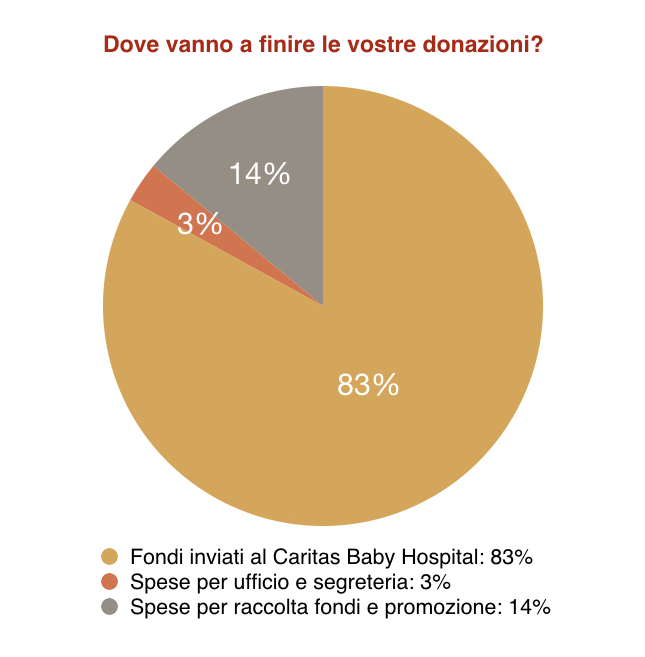 grafico trasparenza uso donazioni aiuto bambini betlemme onlus